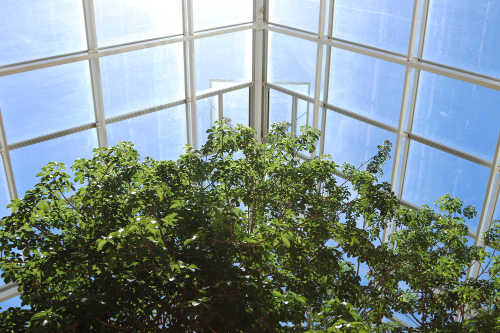 conservatory roof prices uk